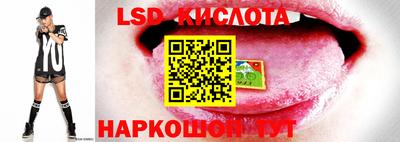apvp Нальчик