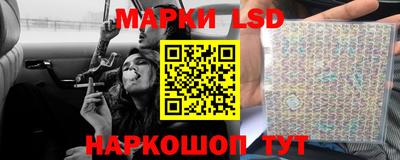apvp Нальчик