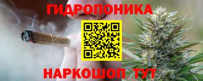 apvp Нальчик