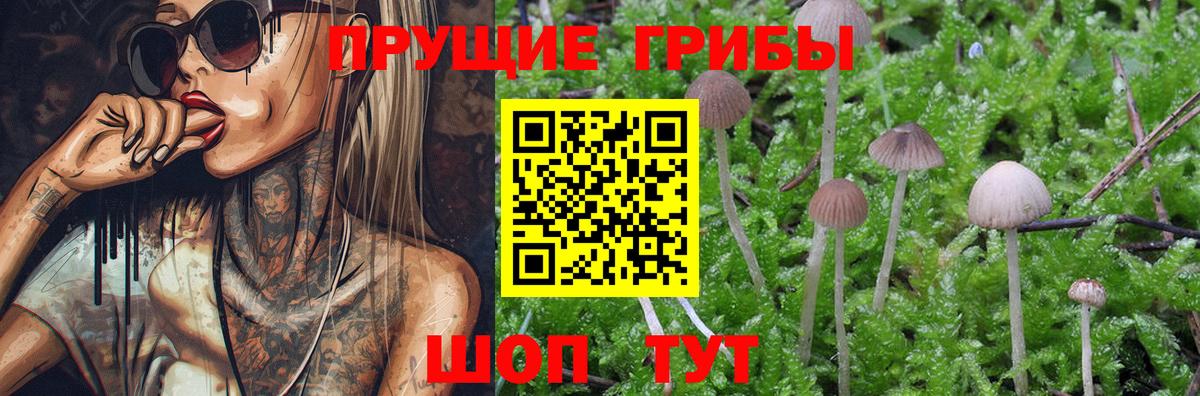 Галлюциногенные грибы мицелий Рыбинск